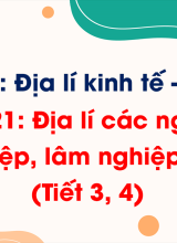 Phần 3 - Bài 21 Địa lí các ngành nông nghiệp, lâm nghiệp, thuỷ sản (Tiết 3, 4)